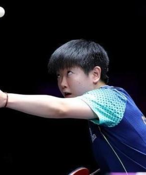 新2024年澳门天天开好彩019期：虎、牛、龙、羊，大胆预测