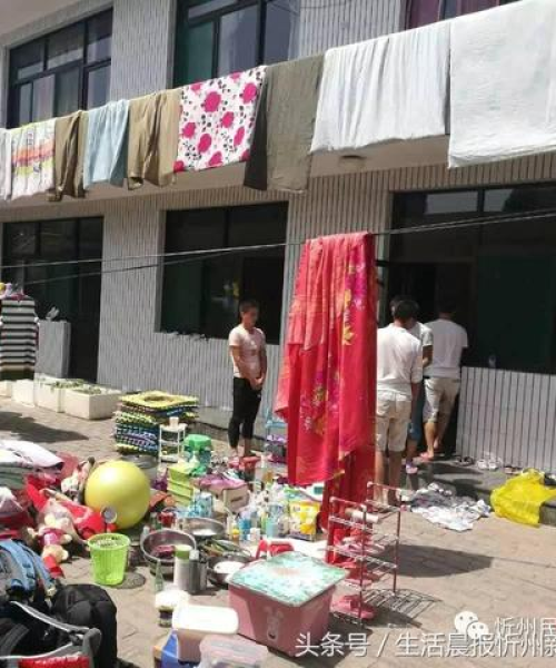 忻州学生遣返政策最新通知解读