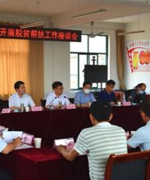 柿子园村最新动态报道