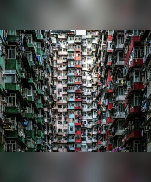 香港棺材概念股行情深度解析