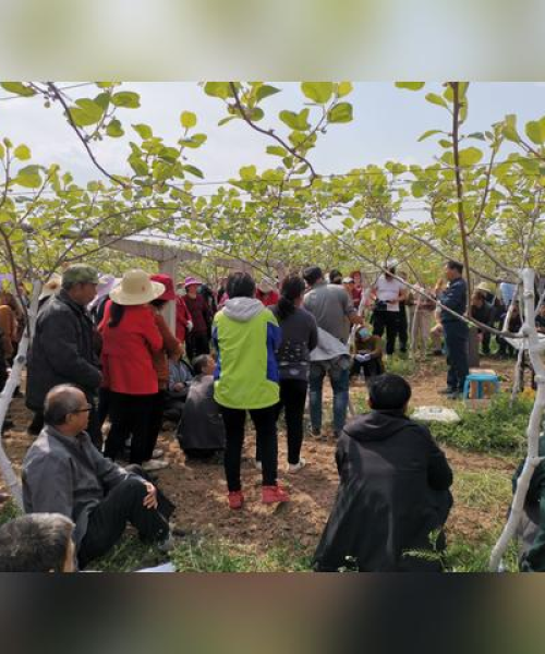 陕西保姆公司排名前十榜单，专业品质信誉之选