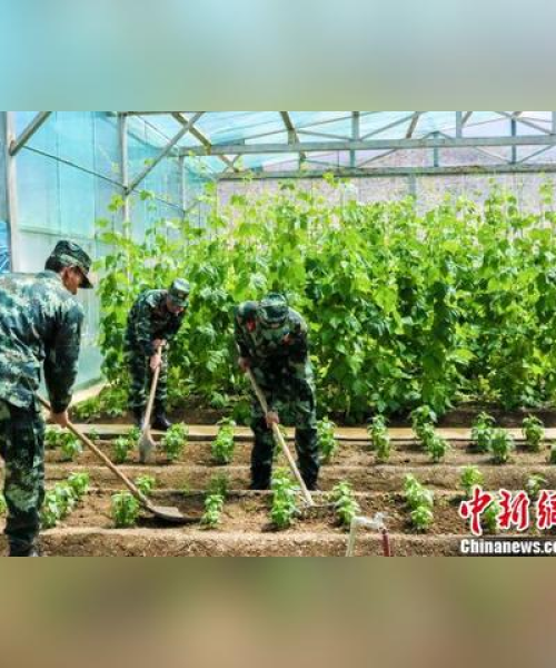 拉萨牛肉品质之选，十大排名，地道美味尽享