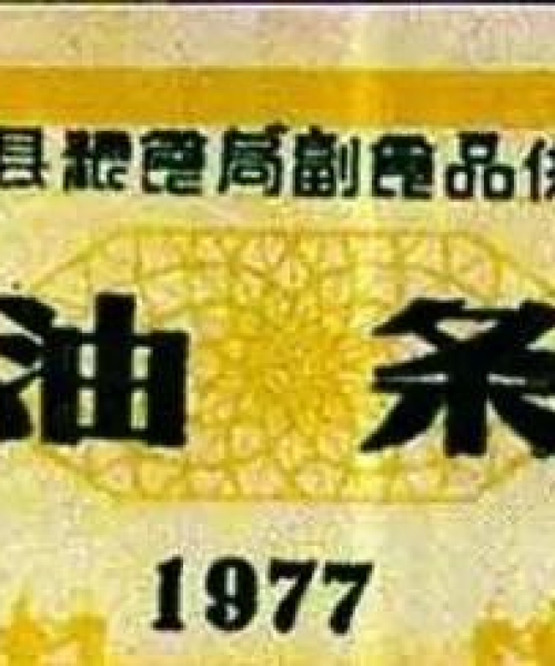 陈村欺骗游客案最新进展报道