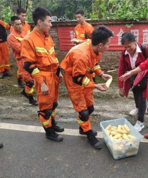 诚心诚意