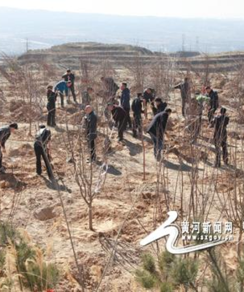 太原土鸡认养最新条件规定解析
