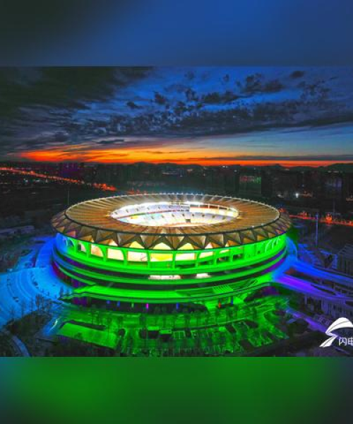 山东弱点公司排名及行业洞察