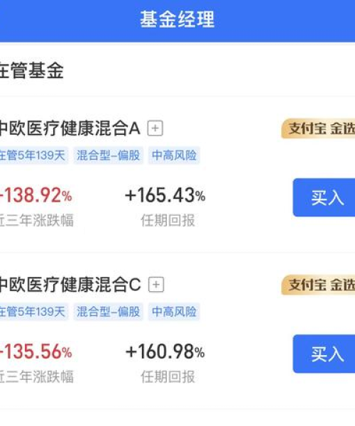 蚂蚁集团领域排名深度解析