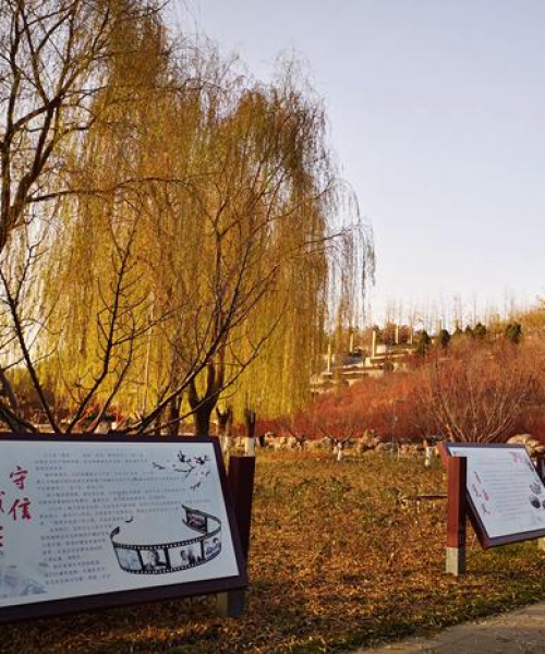 佛山植物造景公司排行榜TOP榜单揭晓