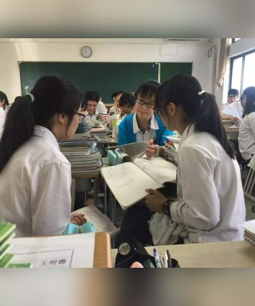木门系列 第7页