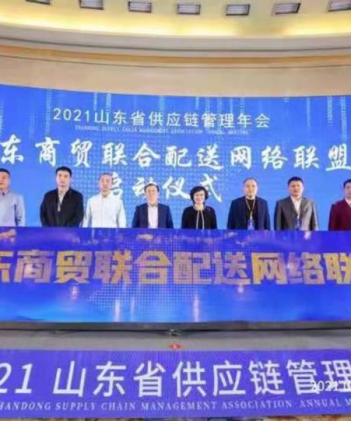 泰安蔬菜行情最新报告，今日价格走势分析