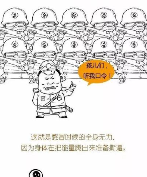 疫情最新报告解读，感冒症状详解指南