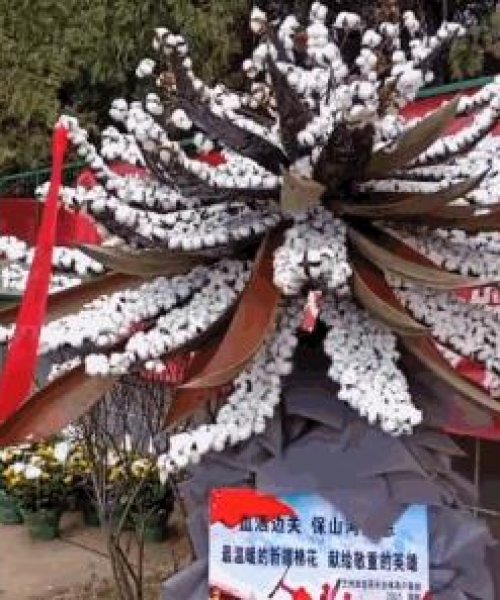 新疆最新时事动态报告今日发布