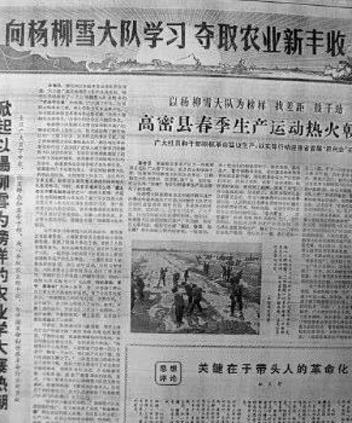 河南天铸消防，今日辣棉花格行情深度解读