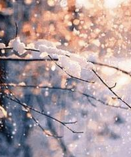 滨州今日雪景实拍，冬日雪景美景欣赏