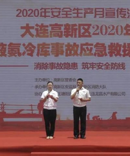 大连液氨公司行业排名及影响力分析