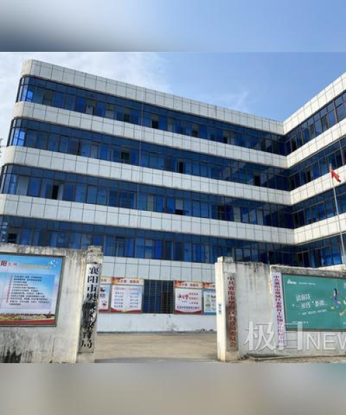 湖北樊城最新新闻快报发布