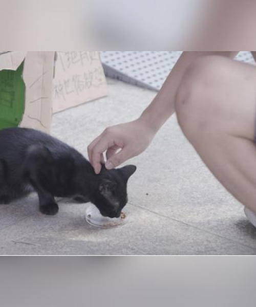 蛙鸣蚓叫