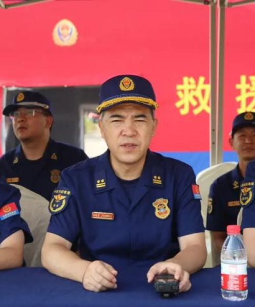 河南天铸消防设备公司收入排名与行业分析概览