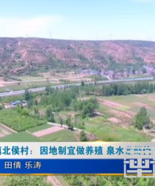 湖北喂料机生产公司排行榜｜专业供应商推荐