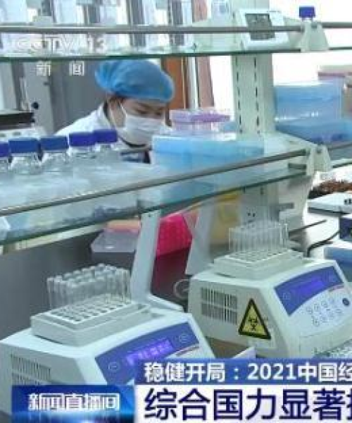 电煤最新价格与市场动态深度解析
