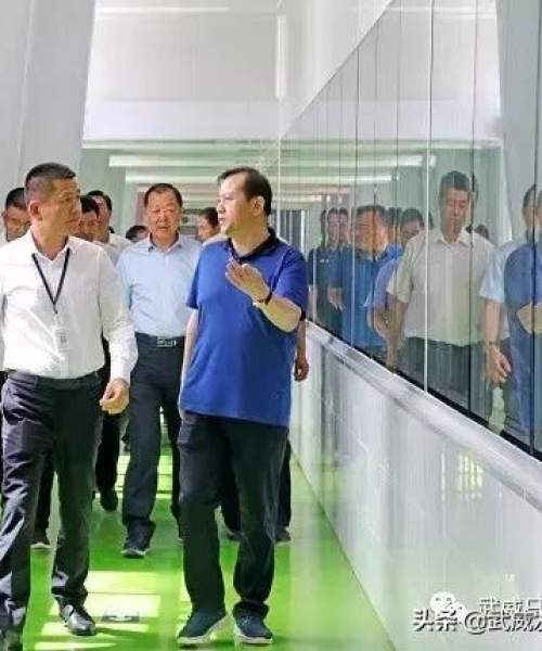 武威生猪价格动态更新及分析