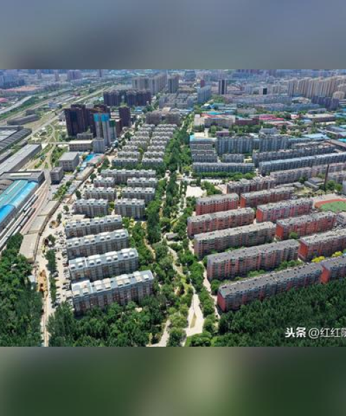 沈阳绿化前十名榜单，城市绿意盎然美景尽收眼底