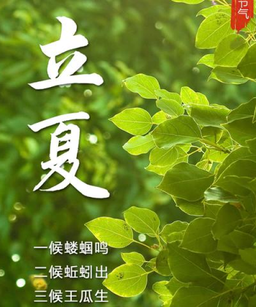 日照蚯蚓产业助力生态经济双赢，蓬勃发展成新闻头条