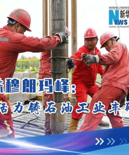 河南天铸消防关注市场动态，最新石油价格信息更新