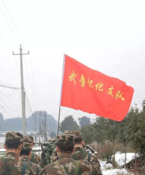 束手就缚