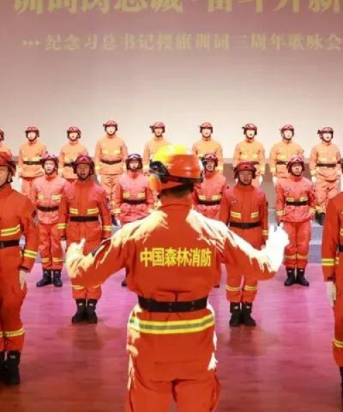 河南天铸消防，日本企业排名启示录