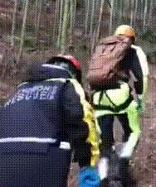 杭州安吉最新新闻深度解读报道