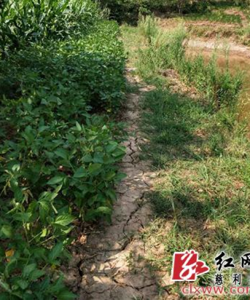 慈利县天气预报查询最新消息报告