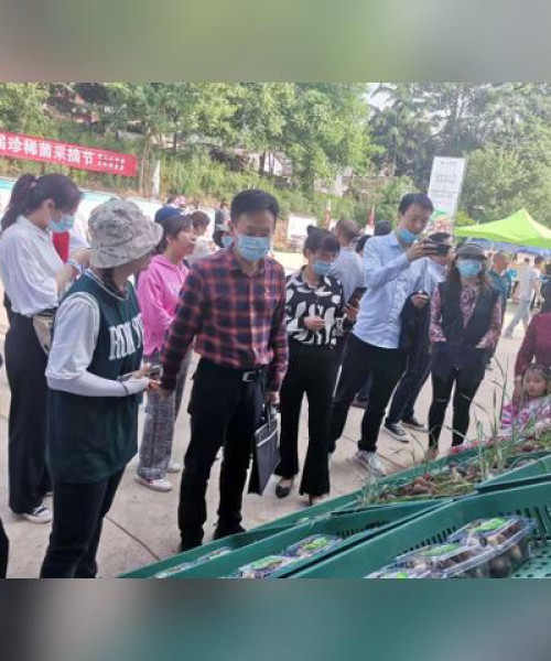南山集团，世界企业排名中的稳健发展与多元化布局典范
