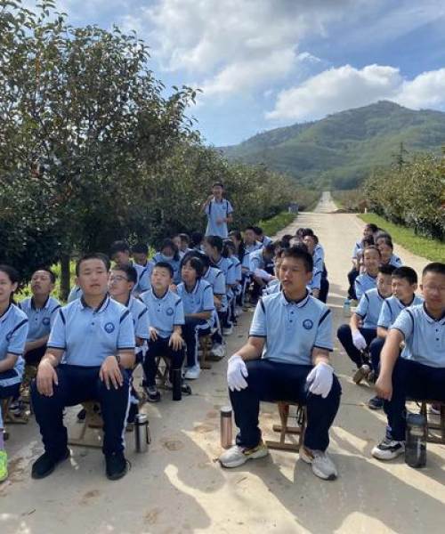 青岛南山花卉市场，最新旅游买花全攻略