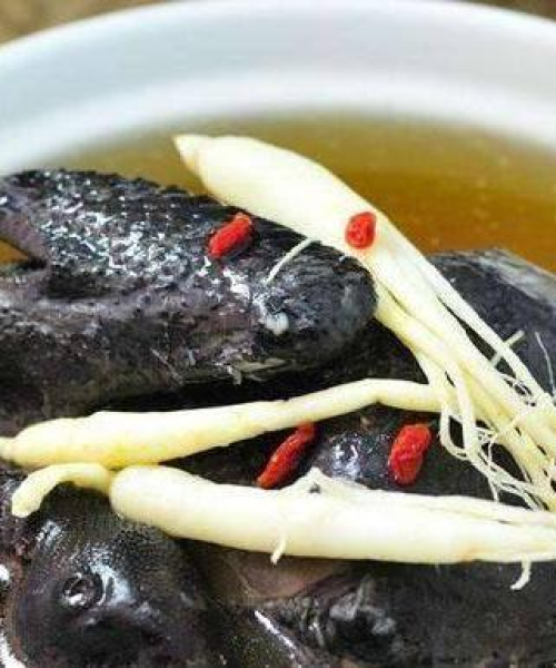 百度揭秘，鹿茸的多样食用方法与吃法大全