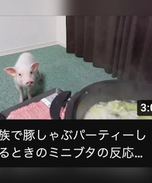 揭秘迷你世界角色真实身份排名及背后故事