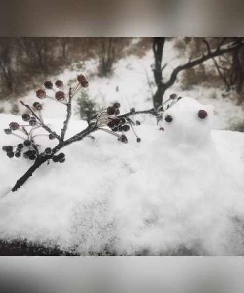 六春湖直播盛启，雪景盛宴邀您线上共赏