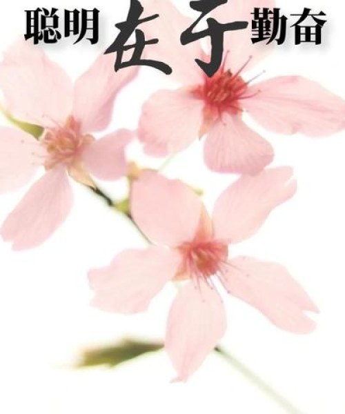 语录图片励志篇，传递文字的正能量力量
