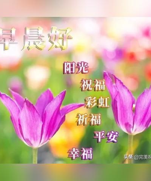 直击心灵的热门励志语录，简短有力！