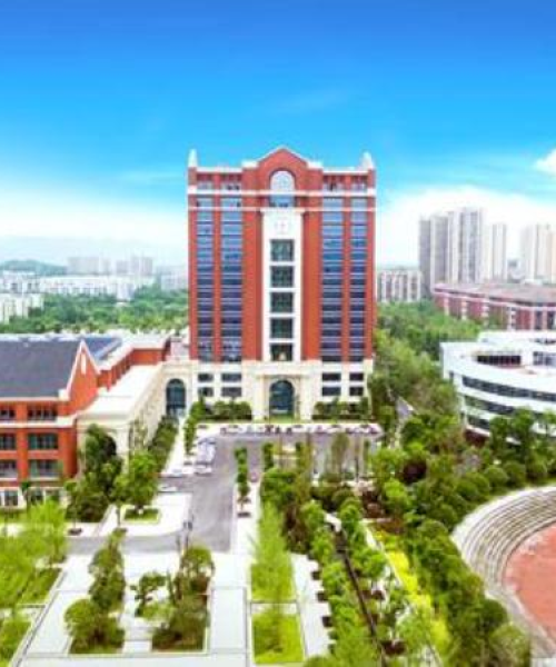 重庆民办专科排名TOP10，教育实力与特色深度解读