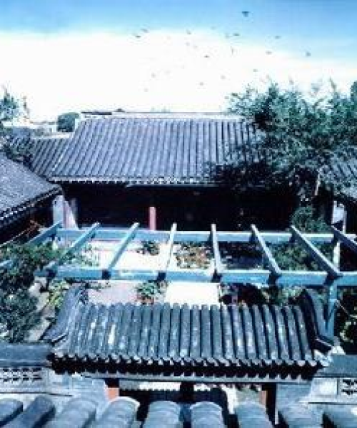 百度老师智慧结晶无私分享，深度探索文章之美