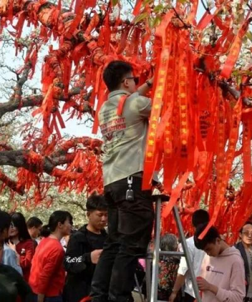 砀山公交最新路线攻略，轻松掌握城市出行脉络