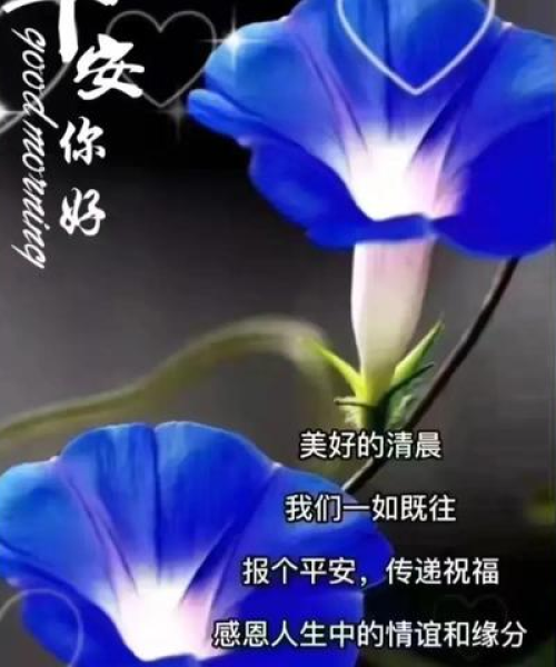 2025年6月25日 第14页