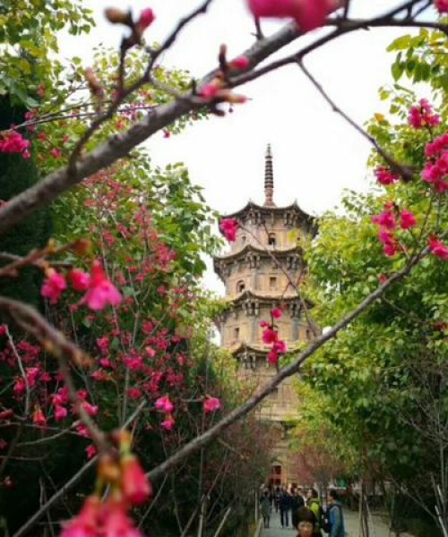 泉州古塔探秘，详尽旅游攻略