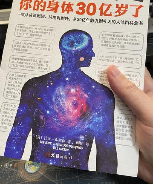 世界名校排名大解密，校园幽默背后的无穷魅力