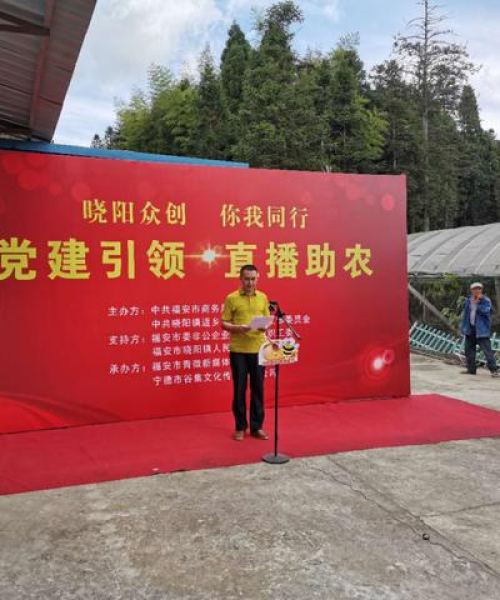福安晓阳秘境探秘，绝美风光与旅行攻略全解析