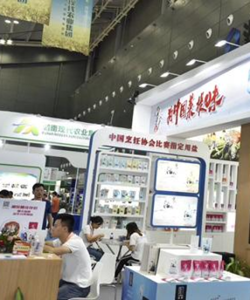 湖南雪天旅游攻略，探秘冰雪童话世界的奇幻之旅！