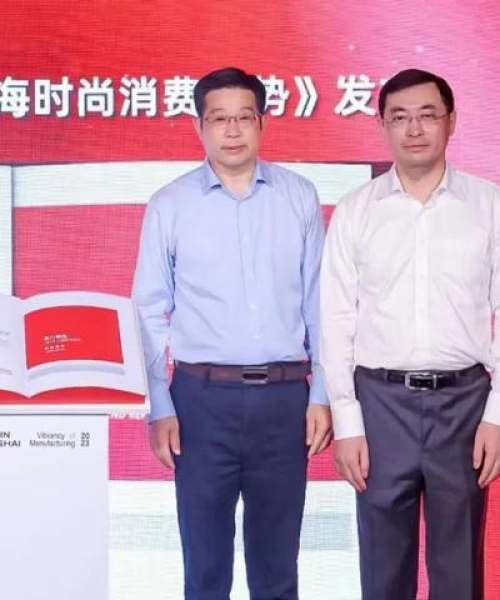 揭秘国内二级子公司排名前十，洞悉行业格局与未来趋势展望