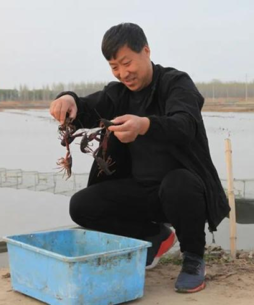 平阴县装修师傅招聘大全，最新招聘信息一网呈现