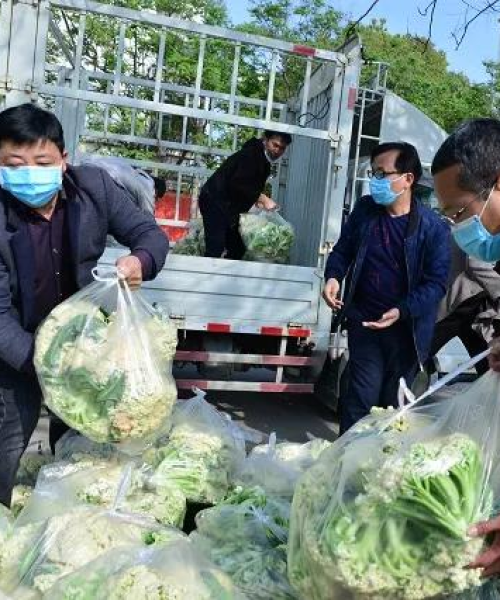 上蔡最新新闻头条与实时天气关注